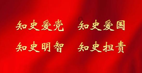 有趣的动物拼图
