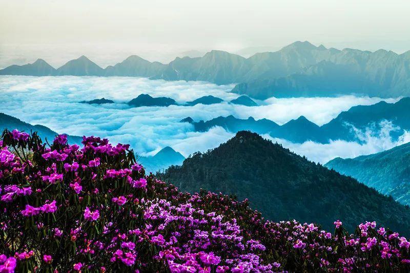 背景提升 | 伦敦大学学院:生物医学前沿专题
